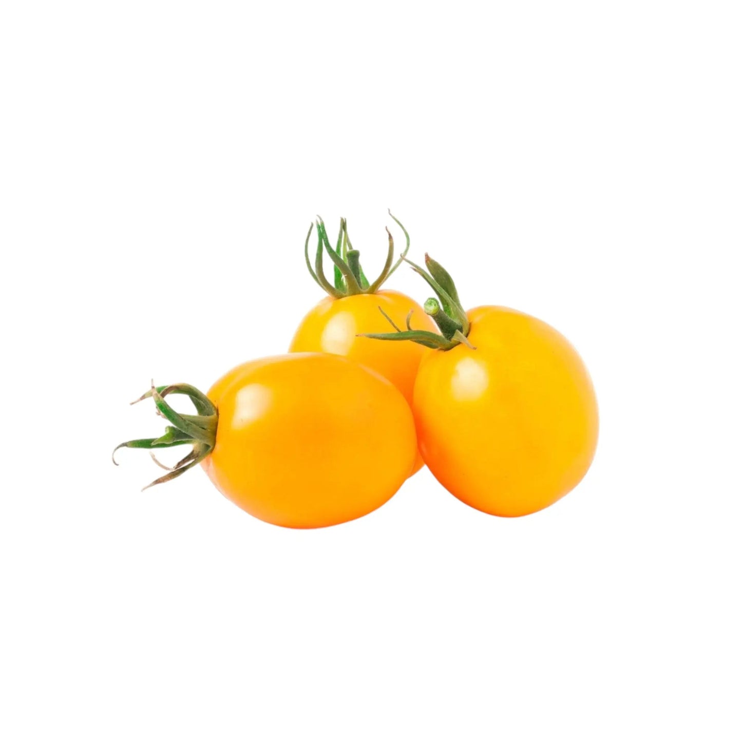 Pomodoro Datterino Giallo - Verdur8